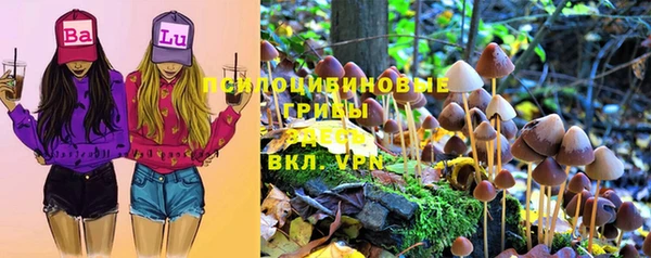 не бодяженный Россошь