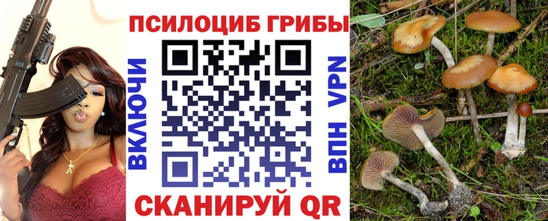 Галлюциногенные грибы Magic Shrooms  Верхнеуральск 